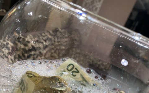 En algunos locales, como el de Sandra Ponce, optan por sanitizar el dinero para evitar el contagio.