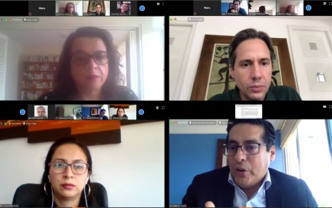 Captura de pantalla de la sesión virtual del CES del miércoles 6 de mayo de 2020.