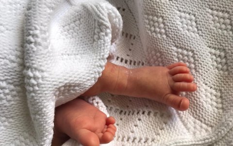Imágenes de las primeras horas de vida de la bebé.
