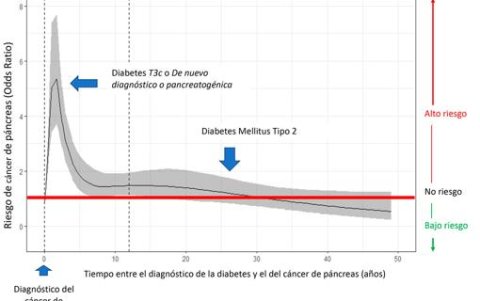 Asociación no lineal entre el riesgo de cáncer de páncreas y el tiempo transcurrido entre el diagnóstico de la diabetes y el del tumor. El punto 0 representa el diagnóstico de cáncer de páncreas.