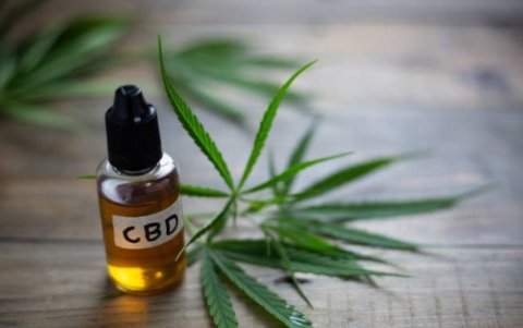 El cáñamo aporta a la medicina por su gran cantidad de fibra y biomasa.