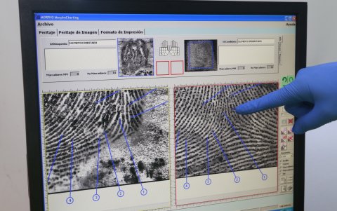 El reconocimiento de características de los cuerpos es minucioso.