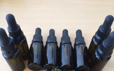 El aceite de CBD se extrae de la planta y se utiliza para aliviar dolores en las articulaciones.