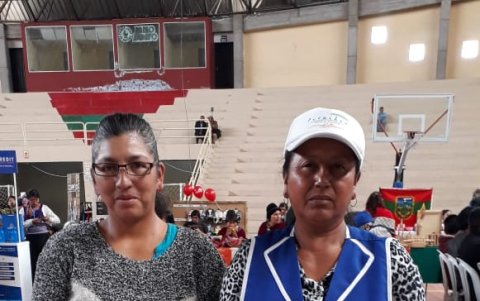 Del aguacate, emprendedoras de una asociación de la parroquia Picaihua obtienen cremas, aceites, champú y otros productos naturales.