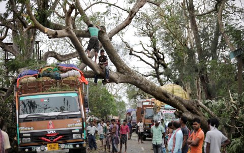 ODISHA. Los viajeros esperan mientras los lugareños intentan quitar un árbol que cayó sobre una carretera principal en la aldea de Bokkhali, cerca de la Bahía de Bengala.