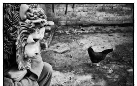 Fotografía creada en el 2014.