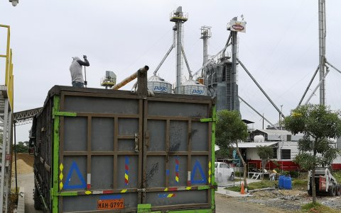 Los camiones llegan a Yaguachi desde La Unión (Los Ríos).