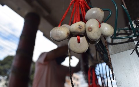 Populares. Las pulseras con cabalonga están entre las más vendidas. La gente cree que tienen poderes