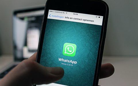 Al momento, la nueva función de WhatsApp ha detectado más de 850 noticias falsas.