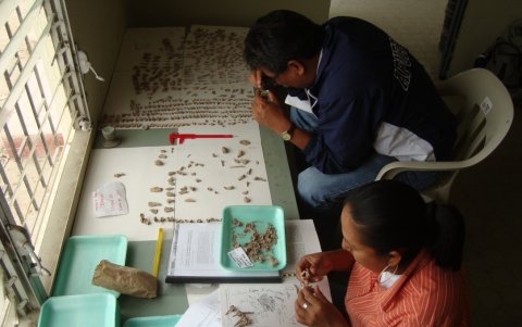 Registro. Un equipo de expertos realiza minuciosamente el inventario de las piezas patrimoniales que tiene Playas.