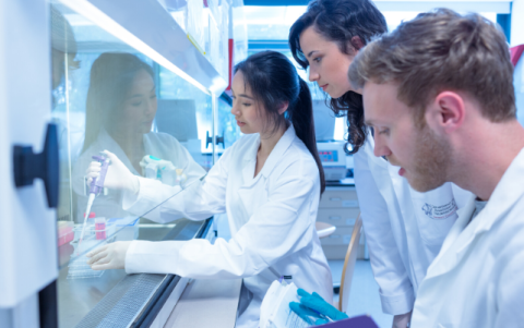 El estudio, publicado el 22 de mayo en la prestigiosa publicación médica, se basa en los datos de unos 96.000 pacientes.