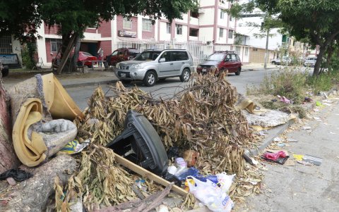 Preocupación. Junto a estos objetos figuran otros desperdicios arrojados en los parterres.