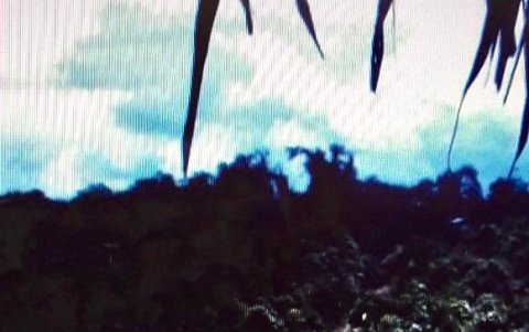 Realidad de la comunidad awá, en la frontera norte ecuatoriana. Foto facilitada por el profesor Juan Herrera.