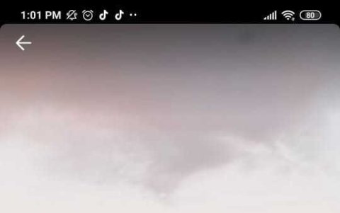 Susana González en Tik Tok.