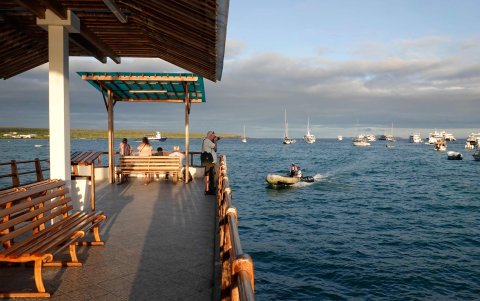 PUERTO AYORA. En Galápagos, cuna de la teoría de la evolución, la actividad científica se suspendió debido a la pandemia del coronavirus, que también paralizó el turismo a las islas encantadas.