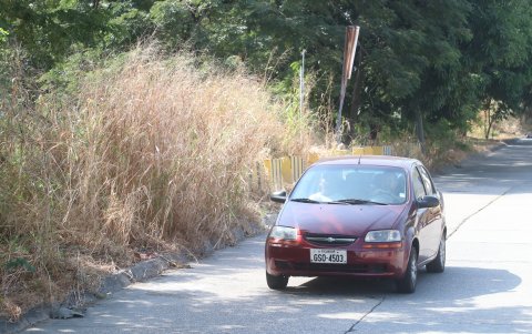 Molestia. En ese estado permanece las orillas de la zanja que recorre las ciudadelas Samanes y Guayacanes. La maleza resta visibilidad a los conductores.