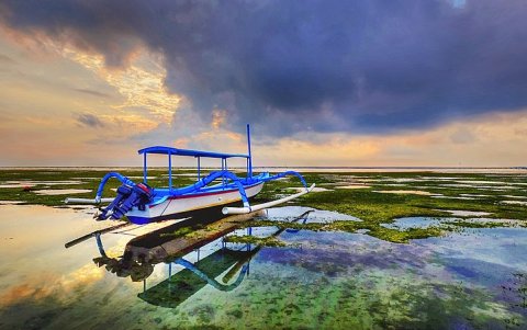 Bali planea abrir sus fronteras en octubre