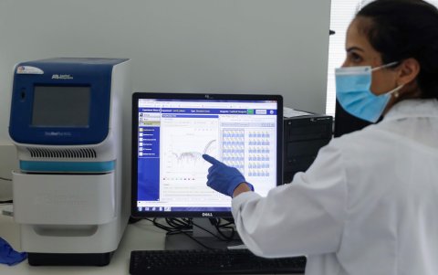 BEERSHEBA. La investigadora Karin Yaniv observa los resultados de varias muestras en el  departamento de ingeniería biotecnológica de la universidad Ben Gurion.