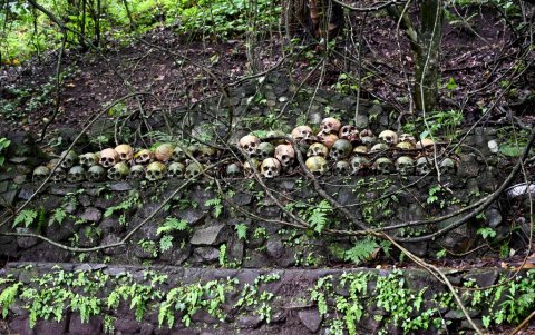 Los cráneos son conservados en un altar de piedra.