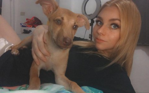 A Callie la encontró vagando cerca de la calle 18.