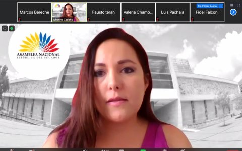 Oficialista. Johanna Cedeño preside la Comisión de Fiscalización.