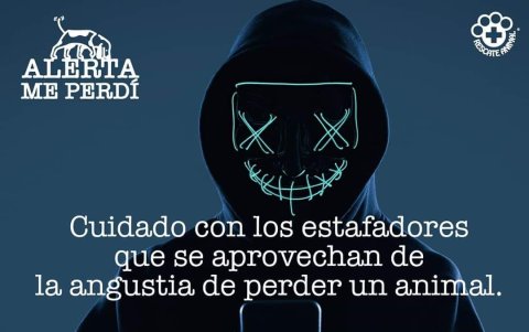 Rescate Animal pide tener cuidado con los estafadores y pedir pruebas reales.