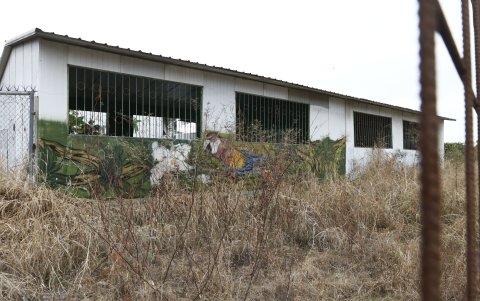 Los exteriores de la unidad educativa José Martí se han convertido en un basurero que es rondado por chamberos.