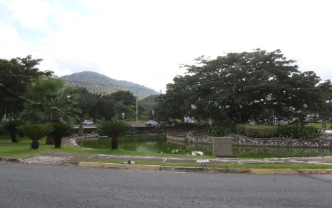 Hecho. A los residentes les apena y molesta ver la coloración que tienen las aguas de la laguna ubicada al ingreso de la urbanización.