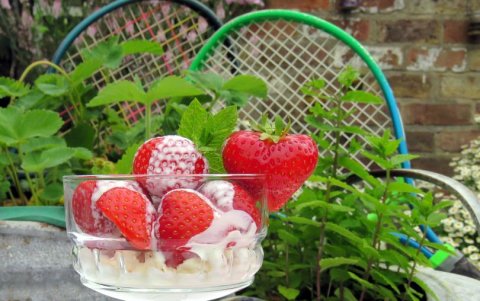 All England Club donará más de 26.000 fresas al servicio de salud del Reino Unido.