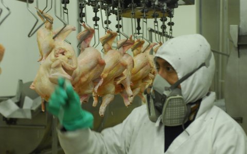 La calidad es clave, por eso el control de la temperatura.