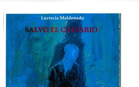 La novela de Lucrecia Maldonado se diferenció de varias piezas escritas previamente, y aborda la relación plena entre sus protagonistas.