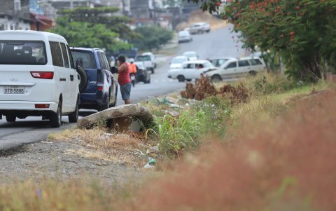 Objetos. A decir de Paredes, los objetos que son lanzados a la calle facilitan la reproducción del insecto. Hoy estos pueden hacerlo hasta en una tapa de cola. Basta que tenga un poco de agua..