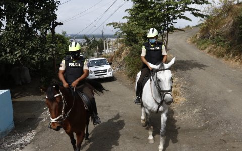 Hecho. Con ayuda de los caballos, los agentes logran ingresar a sitios de difícil acceso: lomas, áreas rocosas, callejones.