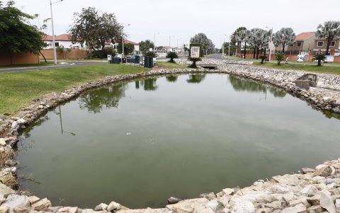 Jardín. Una de las áreas verdes es utilizada por Vigerano como bodega de materiales de construcción. El Municipio solicitará la limpieza del área y que sea cercada