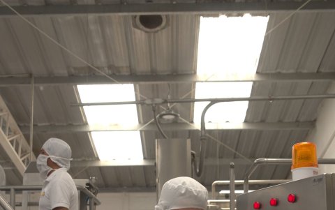 La apuesta. La inestabilidad del mercado no ha afectado la labor en La Holandesa. Todo lo contrario, se ha intensificado con la apertura de su nueva planta de yogur.