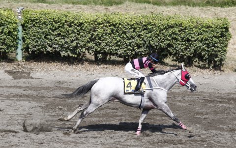 Gustavo Luque fue el jockey que comandó a Albina hacia el triunfo.