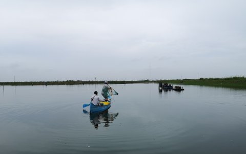Algunos productores trabajan sabido que van a perder.