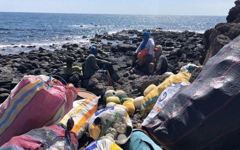 Los residuos plásticos son los principales desechos que llegan a las playas y al mar