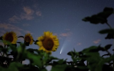 GRAFENSULZ (Austria). El cometa con un marco de flores en una noche abierta en ste país europeo.