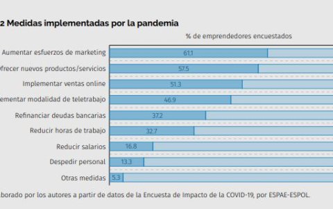 ¿Qué estrategias vienen aplicando las empresas?