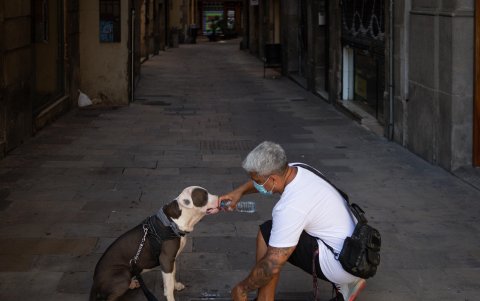 BARCELONA. Un hombre da de beber a su perro, en una calle de esta ciudad española, donde las personas están llamadas a evitar salir de casa tras un rebrote de coronavirus.