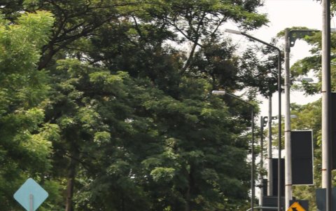 Cuando hay infraestructura útil, los usuarios de las bicicletas aumentan.