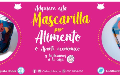 La familia ofrece mascarillas, rascadores y casitas para financiar el cuidado de los felinos.