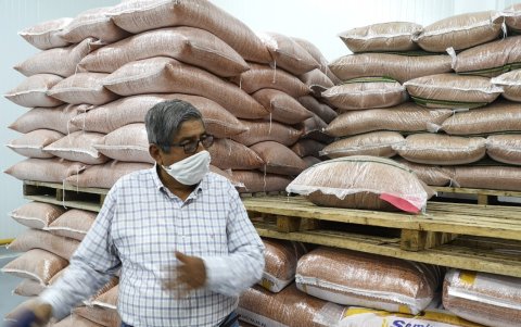 Julio Carchi, productor de arroz.