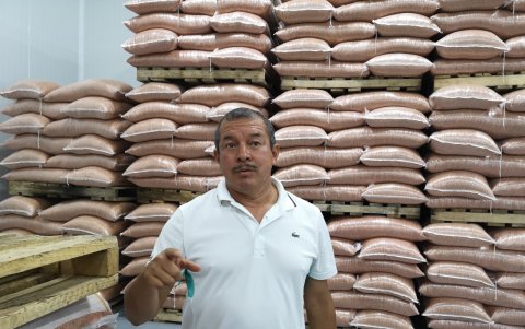 Henry Morán, es un proveedor y productor de semilla. Él mismo la siembra.