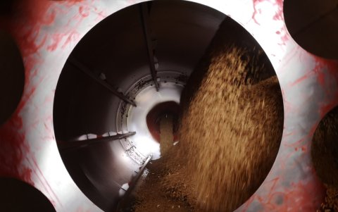 Las semillas reciben un tratamiento supervisado por Iinap y Agrocalidad.