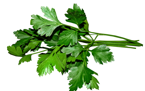 Acostúmbrese a utilizar el perejil en sus preparaciones culinarias.