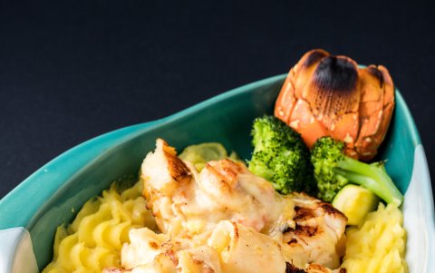 Langosta Costa Brava.