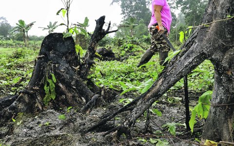 Parte del sitio ha sufrido agresiones antrópicas, por lo que Patrimonio Cultural recomienda detener trabajos de remoción de suelo.