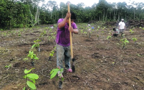 Los hallazgos, según comuneros, ocurrieron durante el pico de la pandemia y cuando removían la tierra para cultivar.